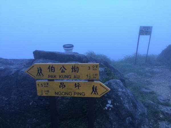 时装周模特